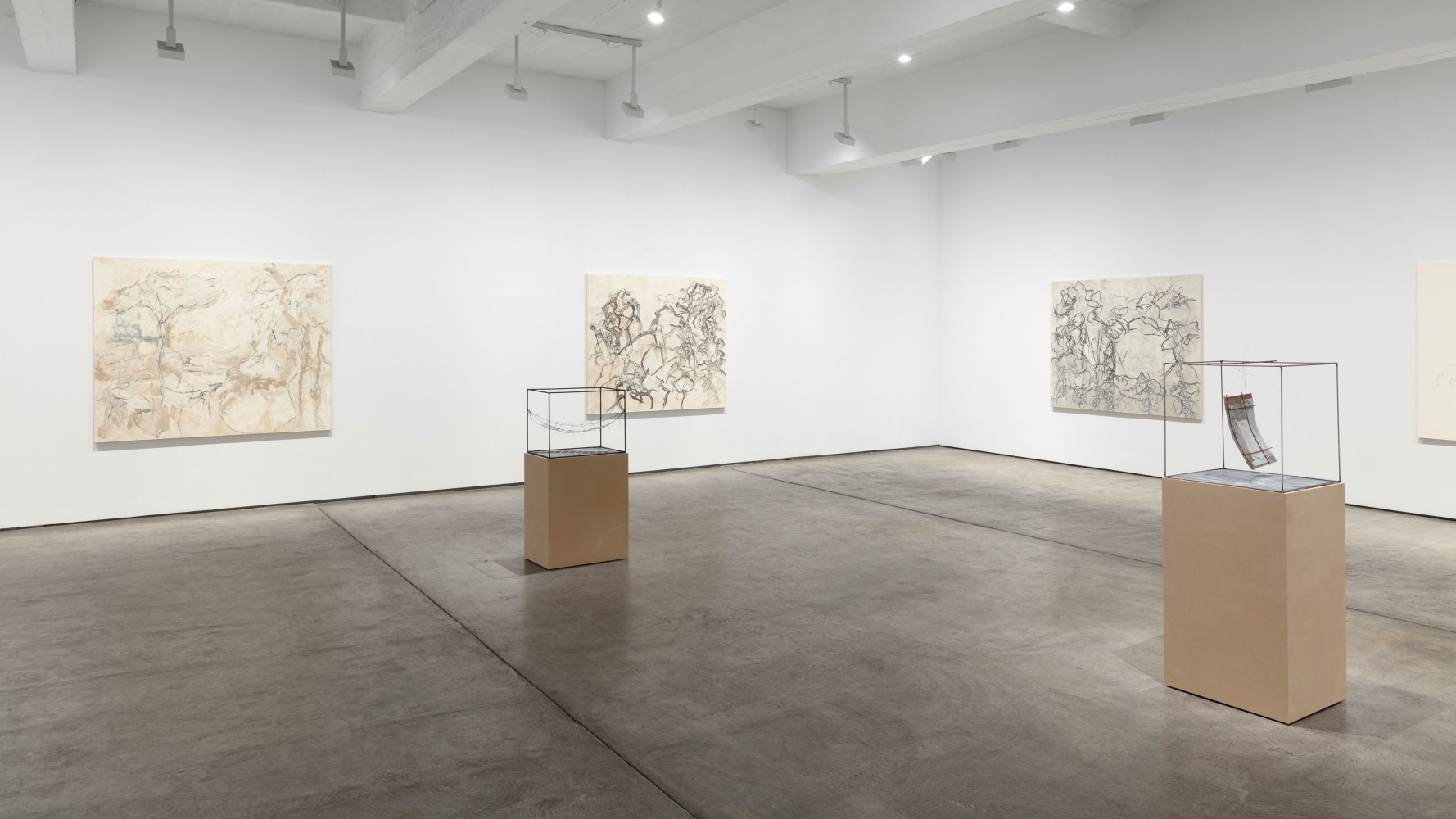 Installation view, Beatrice Caracciolo, Il Bosco Lontano, January 6 – February 3, 2018