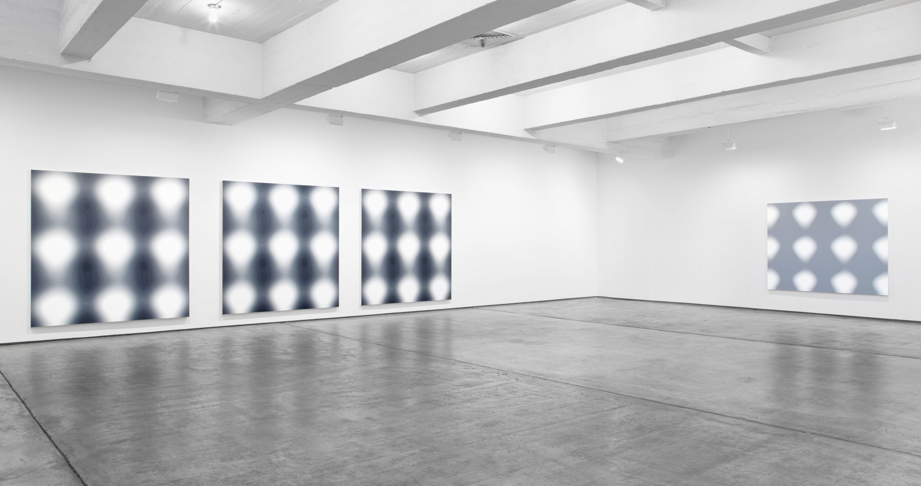 Installation view, Wayne Gonzales, Paula Cooper Gallery, 521 West 21st Street, New York. October 30 - December 18, 2009. © Wayne Gonzales. Courtesy Paula Cooper Gallery, New York.