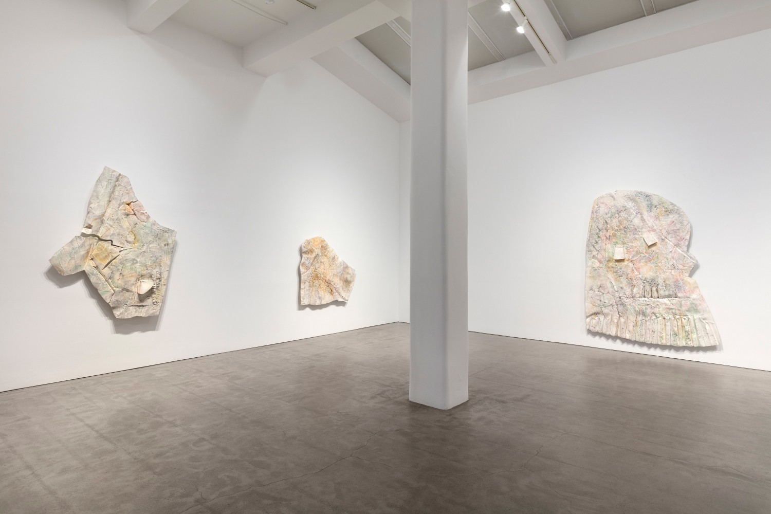 Installation view, Céleste Boursier-Mougenot, Liz Glynn, Robert Grosvenor, Justin Matherly, Paul Pfeiffer, April 4 – May 4, 2019