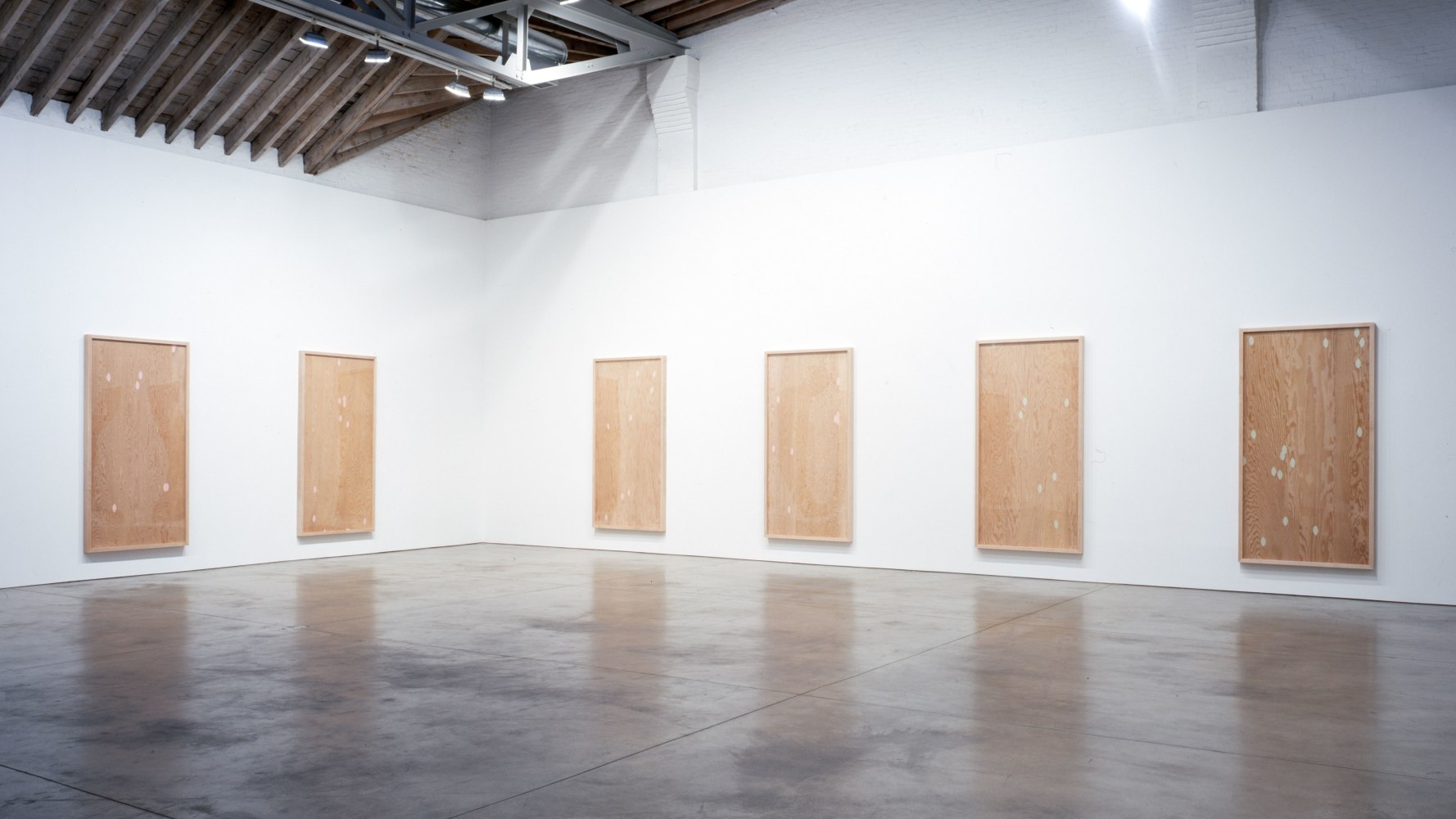 Installation view, New Work, Paula Cooper Gallery, 521 W 21st Street, New York. March 21 - April 19, 2003. © Zoe Leonard. Courtesy Paula Cooper Gallery, New York. Photo: Tom Powel.