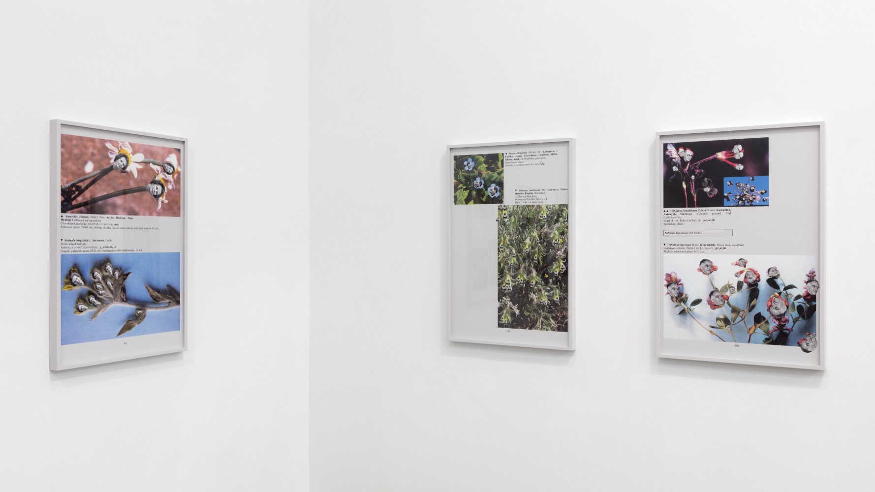 Installation view, Walid Raad, Better be watching the clouds, May 19 – July 14, 2017