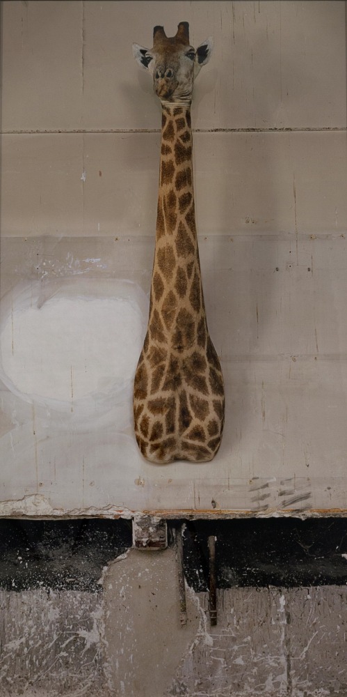Sophie Calle Autobiographies (The Giraffe), 2012 digital print mounted on aluminum, text panel with black &amp; white photograph and found frame framed text: 19 3/4 x 19 3/4 in. (50 x 50 cm) framed photograph: 80 3/4 x 43 3/8 in. (205 x 110 cm)  Edition 4 of 5 (English) Edition of 5 + 1 AP (English), Edition of 5 + 1 AP (French)