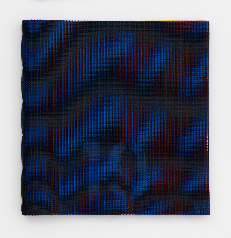 Dan Walsh Textilene, 2008 textilene 13 x 12 3/4 in. (33 x 32.4 cm) Edition of 30, 2 APs