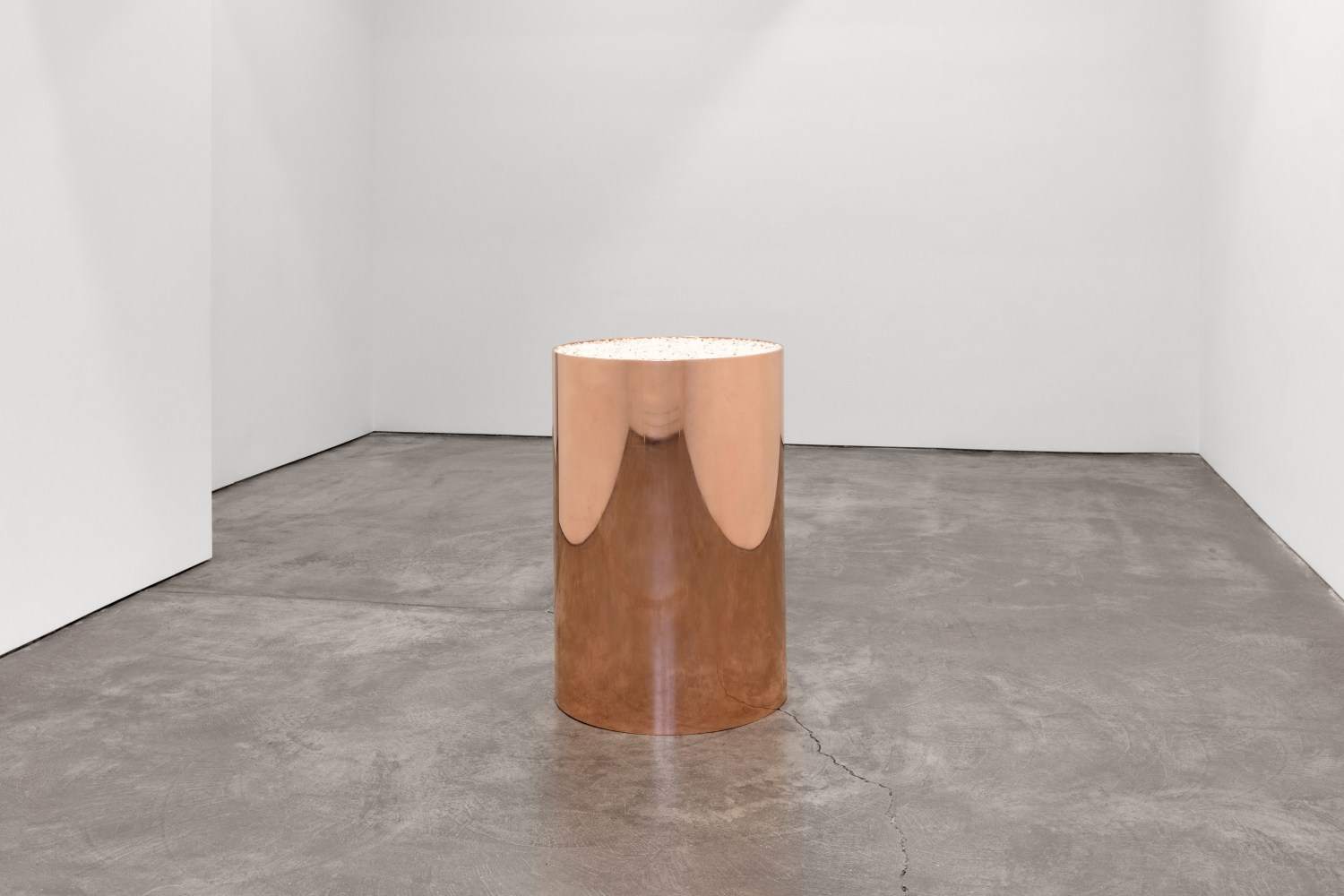 Installation view, Carl Andre & Meg Webster, February 20 – April 10, 2021