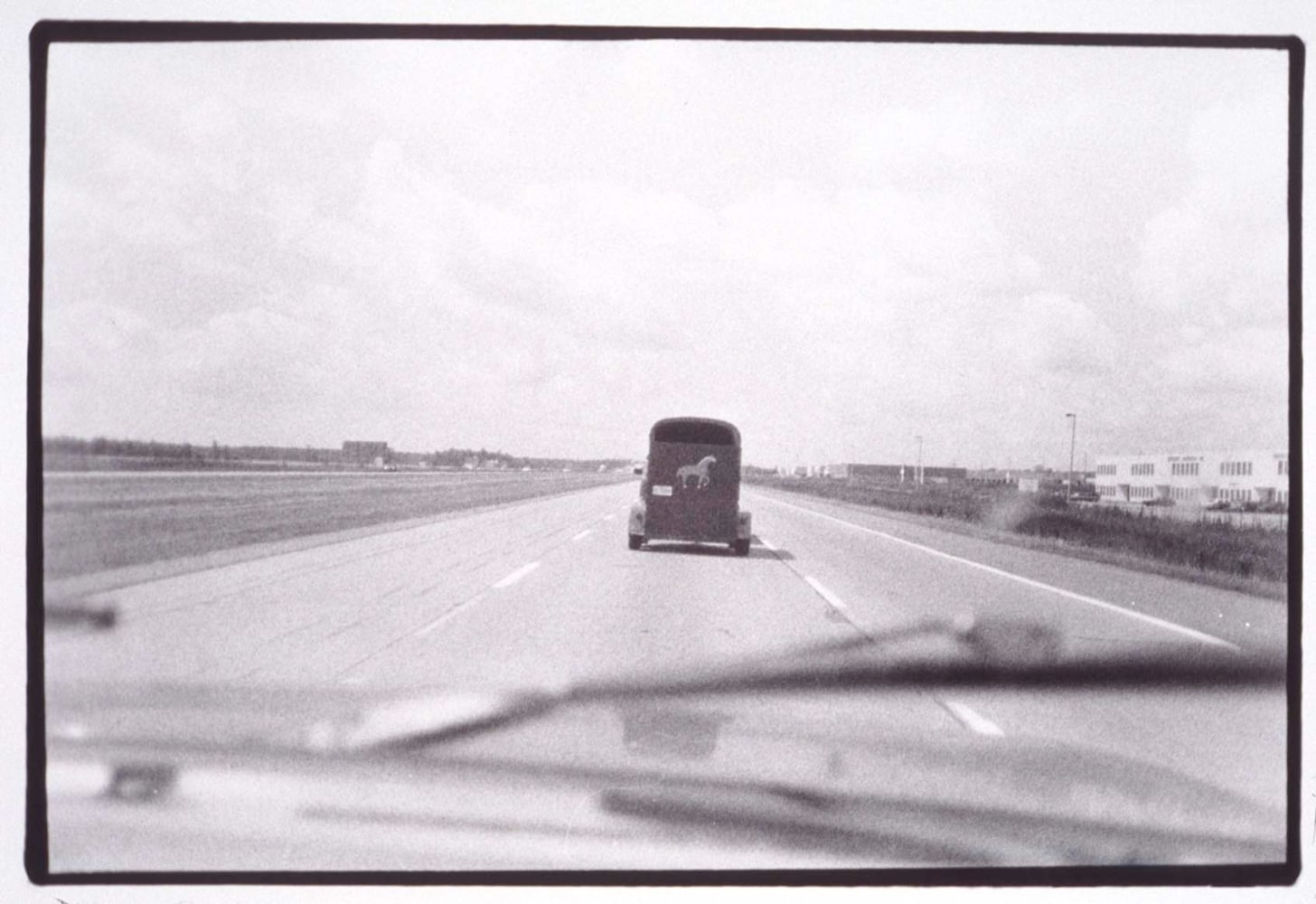 Zoe Leonard "Horse" 1994-97 Gelatin silver print 11 1/2" x 17"