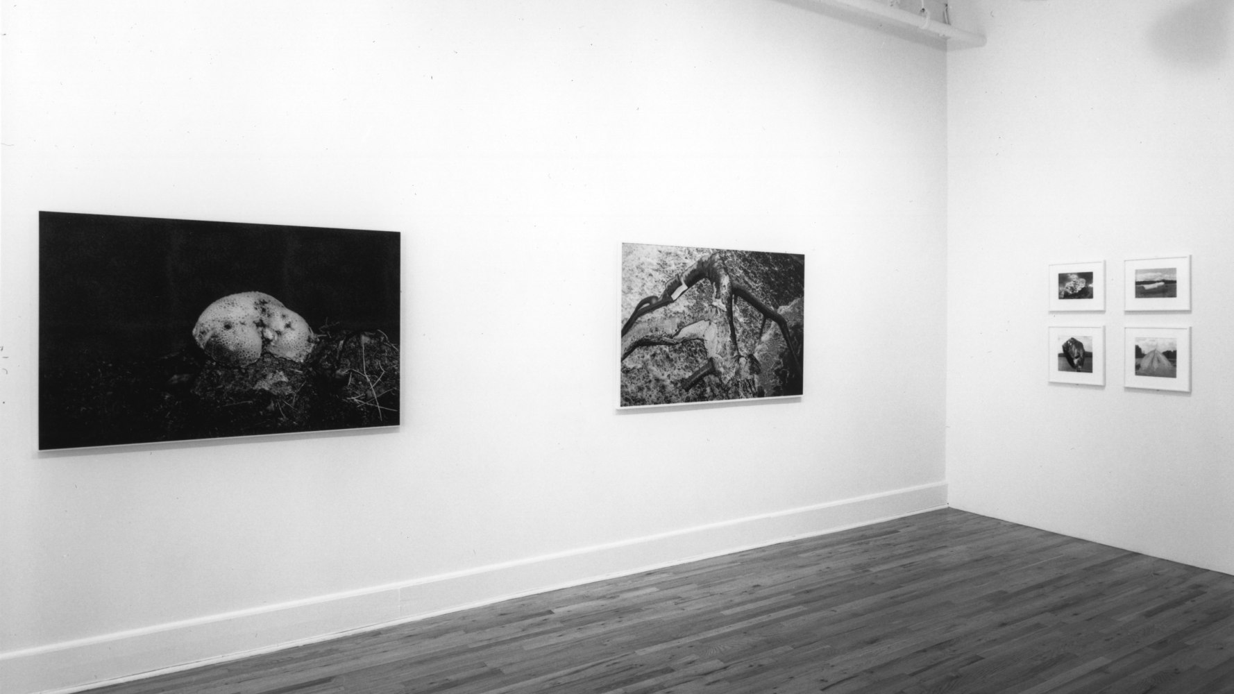 Installation view, New Work, Paula Cooper Gallery, 149 Wooster Street, New York, October 14 - November 13, 1993. Photo: Geoffrey Clements.