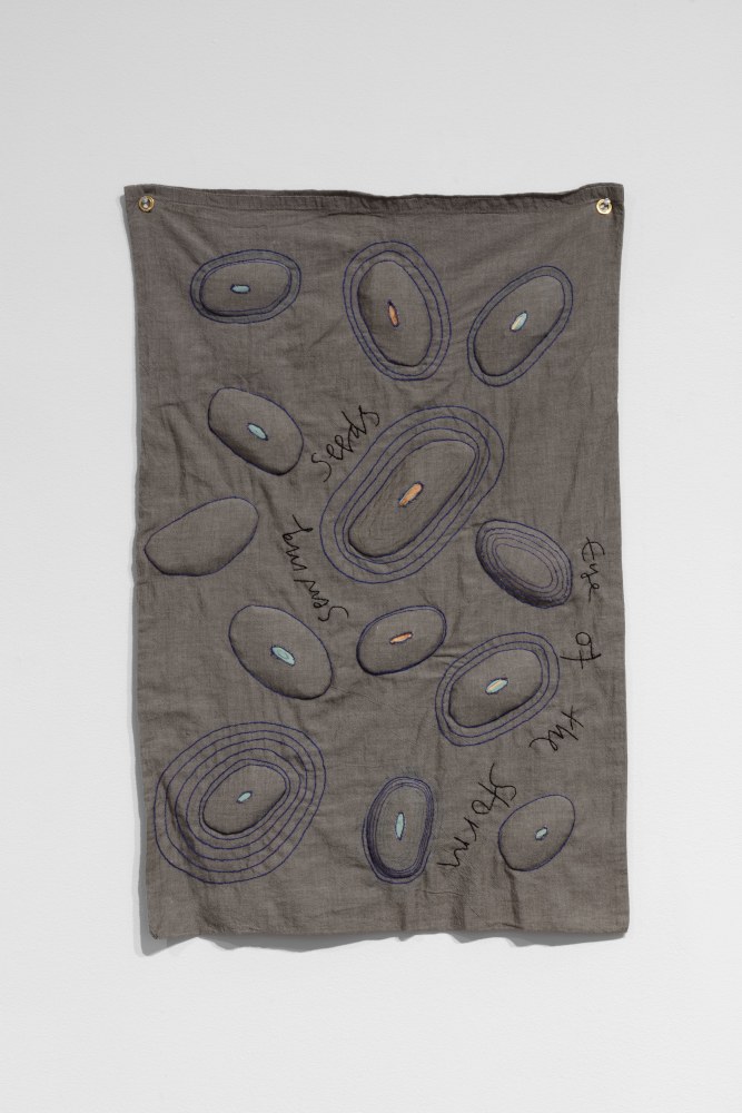 Veronica Ryan, Sewing Seeds 2, 2019, fabric, thread, mango seeds, plastic, 25 x 16 3/4 in. (63.5 x 42.5 cm)