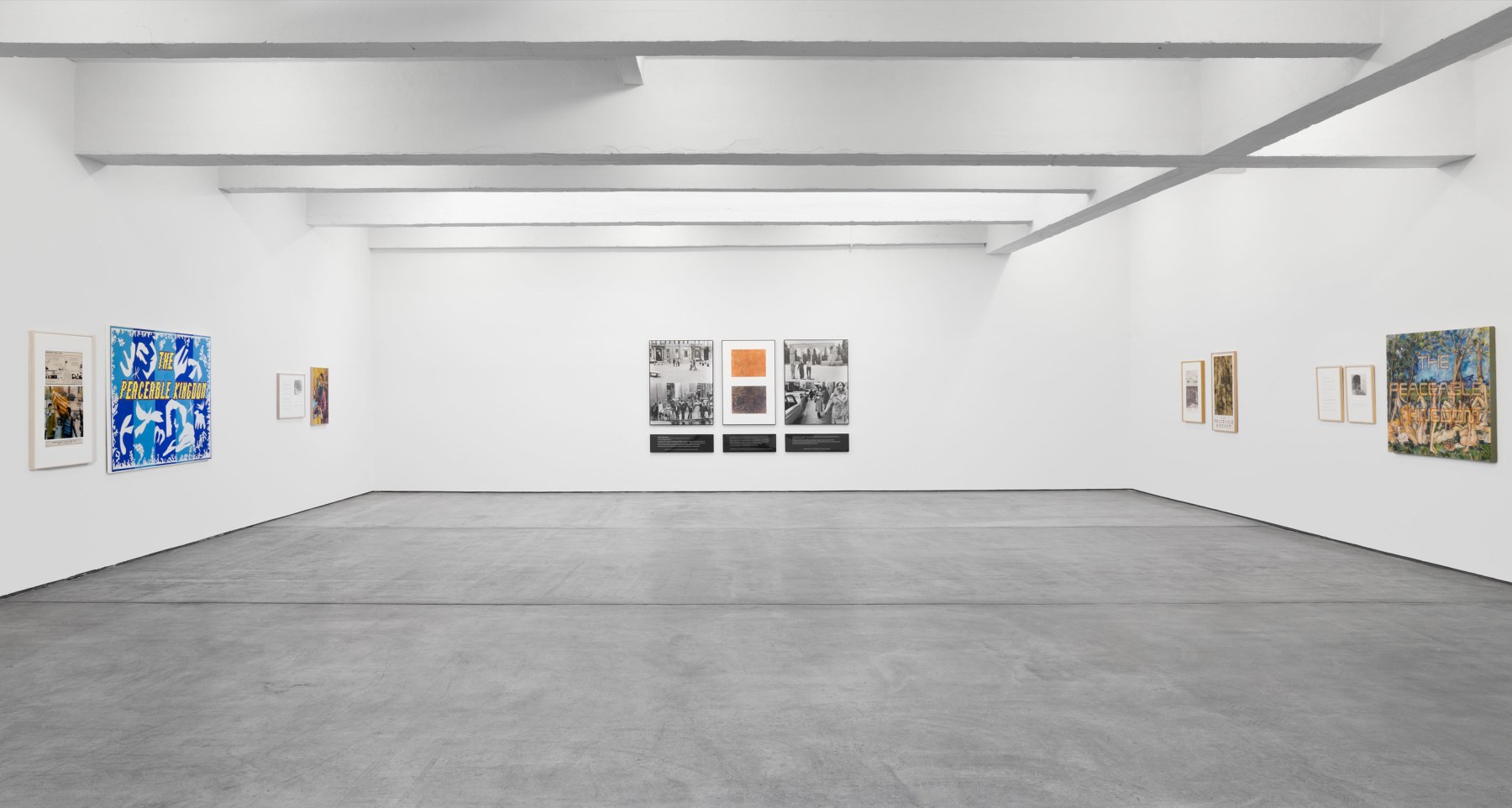 Installation view, Douglas Huebler, Crocodile Tears, March 3 – April 28, 2012