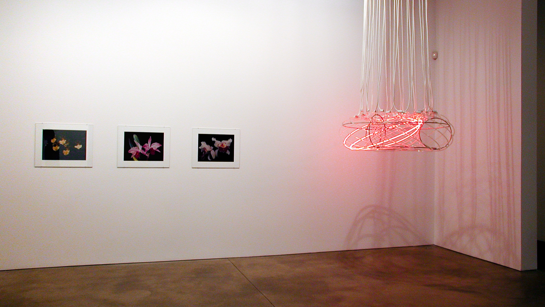 Installation view, From the Observatory, Paula Cooper Gallery, 534 W 21st Street, New York. March 16 - April 20, 2002. Photo: Tom Powel.