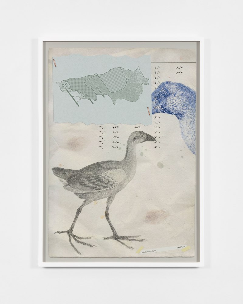 Walid Raad / The Atlas Group 1989-2004 (Attributed to Anonymous) We have never been so populated _ Plate II, 1997/2020 archival inkjet print 32 3/8 x 23 1/8 in. (82.2 x 58.7 cm) frame: 33 1/4 x 24 x 1 3/4 in. (84.5 x 61 x 4.4 cm)