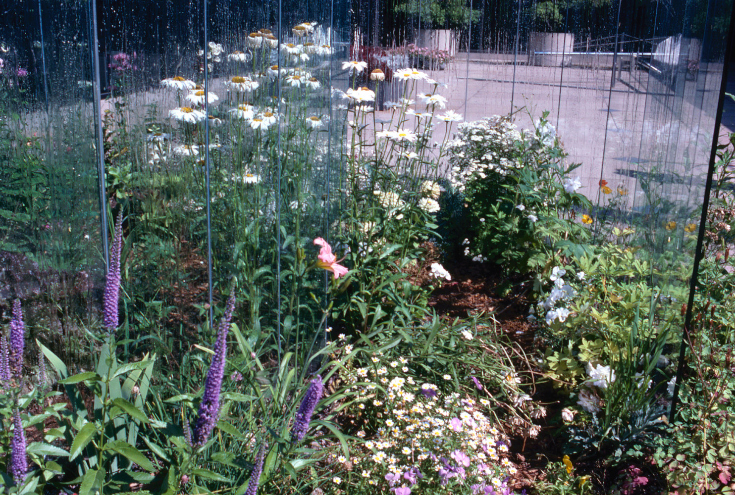 Meg Webster Glass Spiral, (detail), 1990 standing glass plates, water, plants, soil dimensions variable Installation view: Milwaukee Art Museum, Milwaukee, WI, 1990.