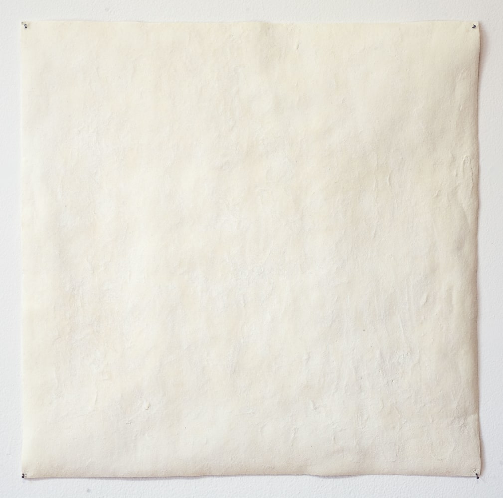 Meg Webster Corn Flour, 2006 cornflower, jade adhesive on arches paper 19 1/2 x 19 1/2 in. (49.5 x 49.5 cm)