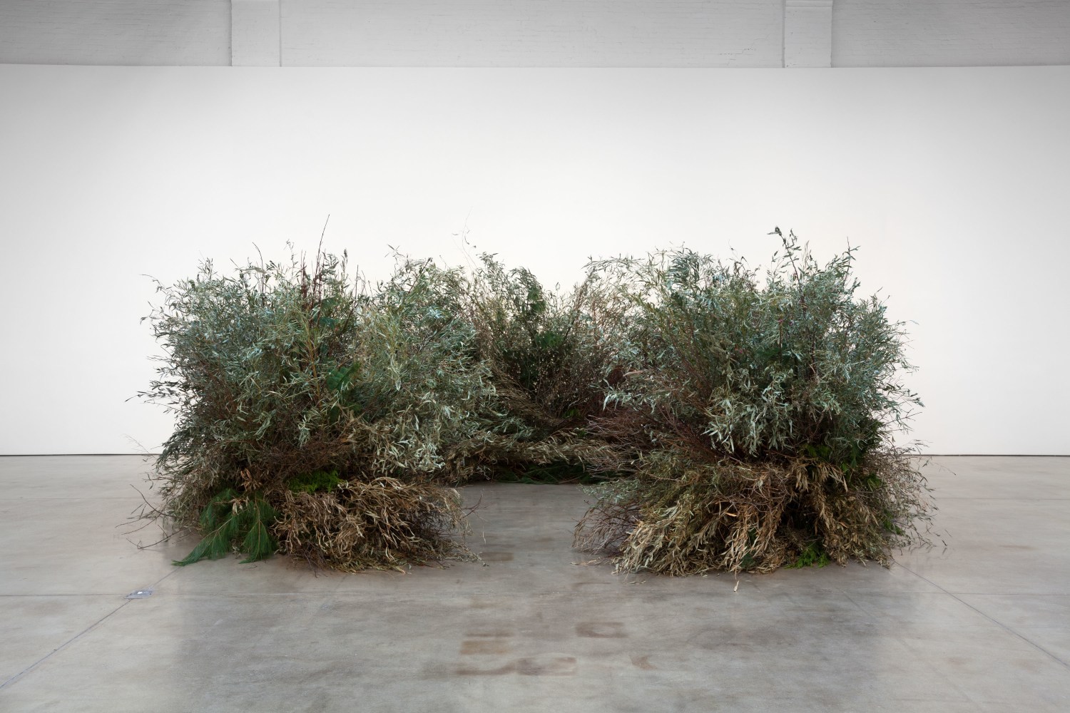 Installation view, Meg Webster, May 7 – July 12, 2016