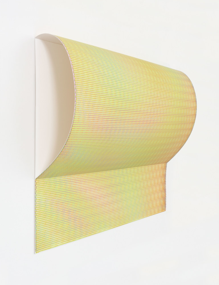 Jane Benson, System of Nature (Reflection VI), 2020 archival inkjet print on canvas mounted on paper and matboard
