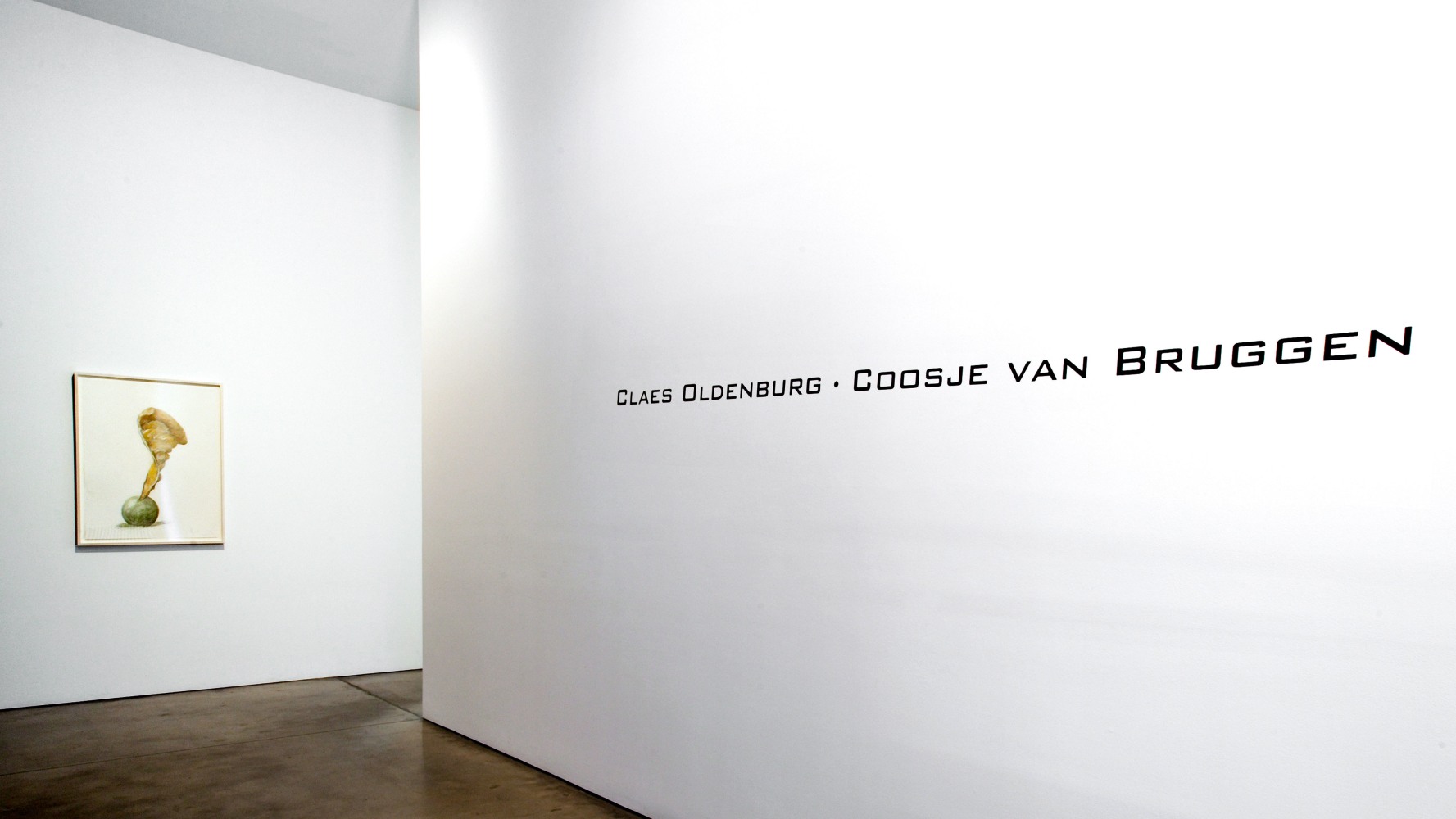 Installation view, Images à la Carte, Paula Cooper Gallery, 534 W 21st Street, New York. April 24 - July 2, 2004. Courtesy Paula Cooper Gallery, New York. Photo: Tom Powel.