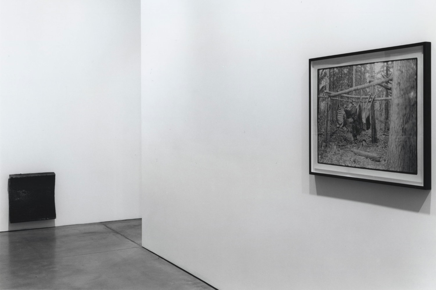 Installation view, Recent Photographs, Paula Cooper Gallery, 534 W 21st Street, New York. January 9 - February 13, 1999. © Zoe Leonard. Courtesy Paula Cooper Gallery, New York. Photo: Dorothy Zeidman.