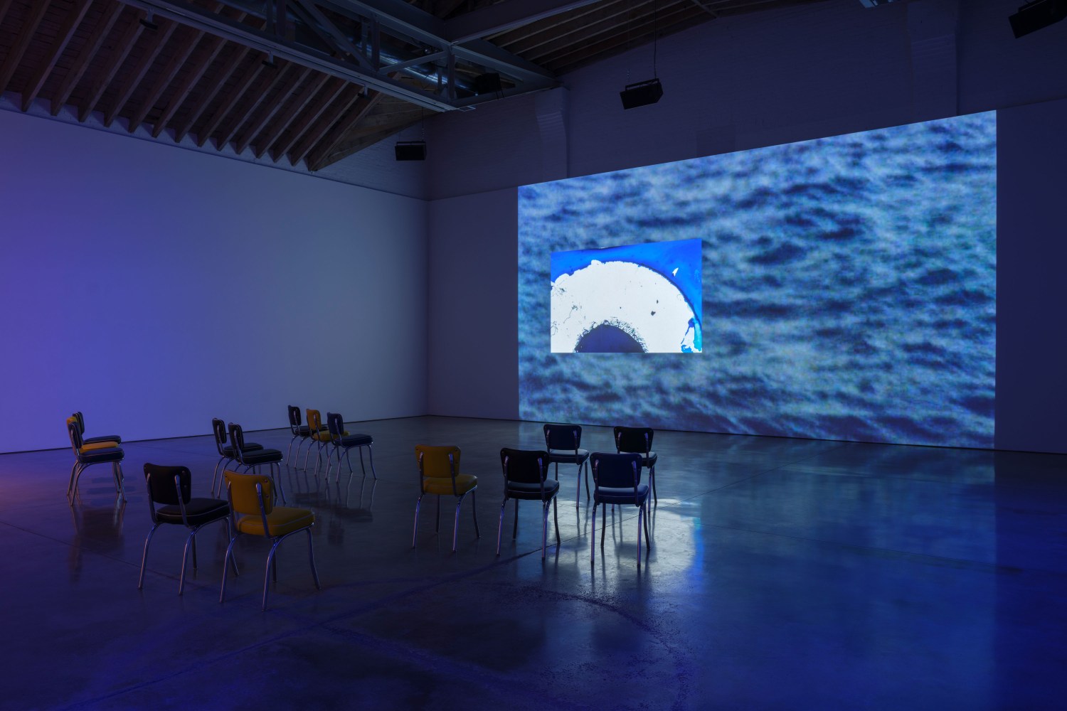 Installation view, Ja'Tovia Gary, You Smell Like Outside..., Paula Cooper Gallery, February 11 – March 11, 2023.