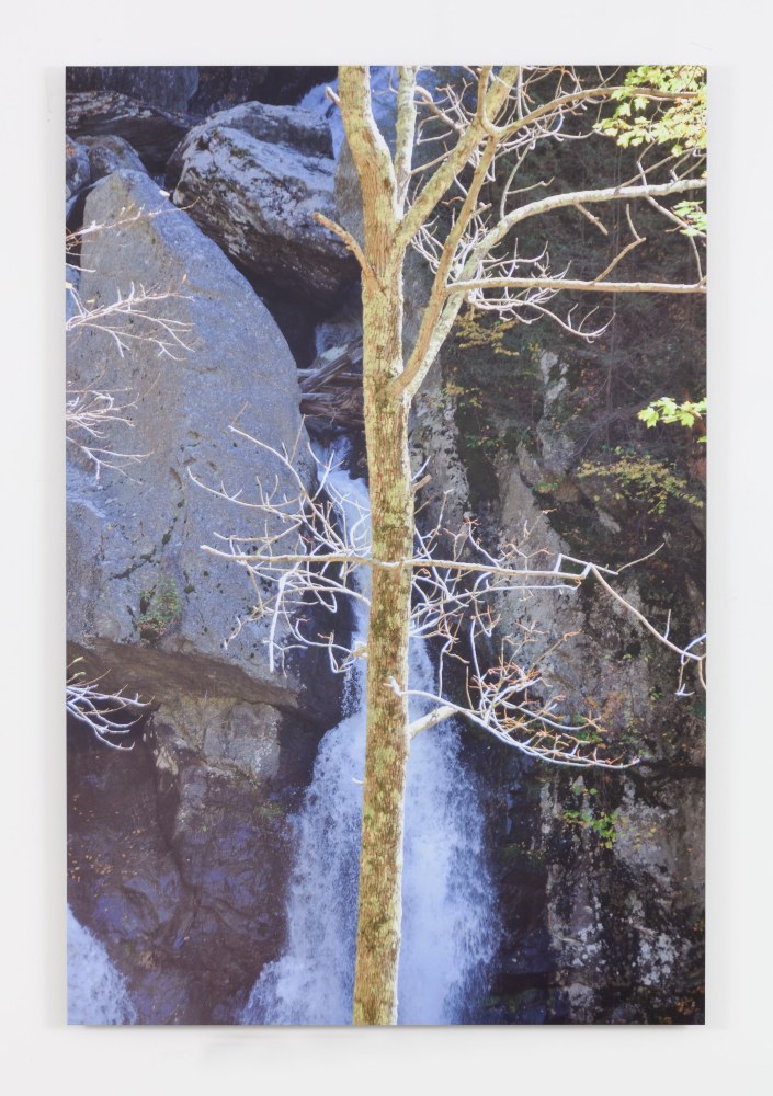 Hans Haacke Still Untitled, 2013 UV matte laminated color inkjet photo mounted on aluminum 72 x 48 x 1 in. (182.9 x 121.9 x 2.5 cm) Edition 1 of 3,  1 AP