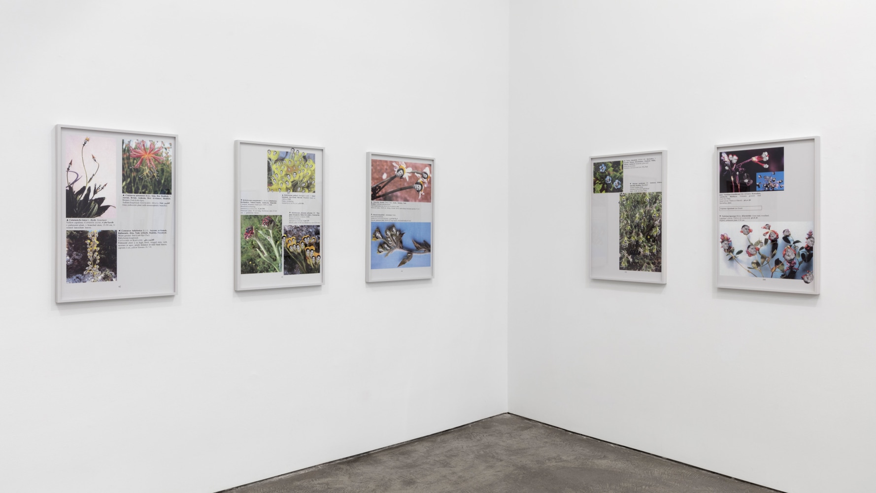 Installation view, Walid Raad, Better be watching the clouds, May 19 – July 14, 2017