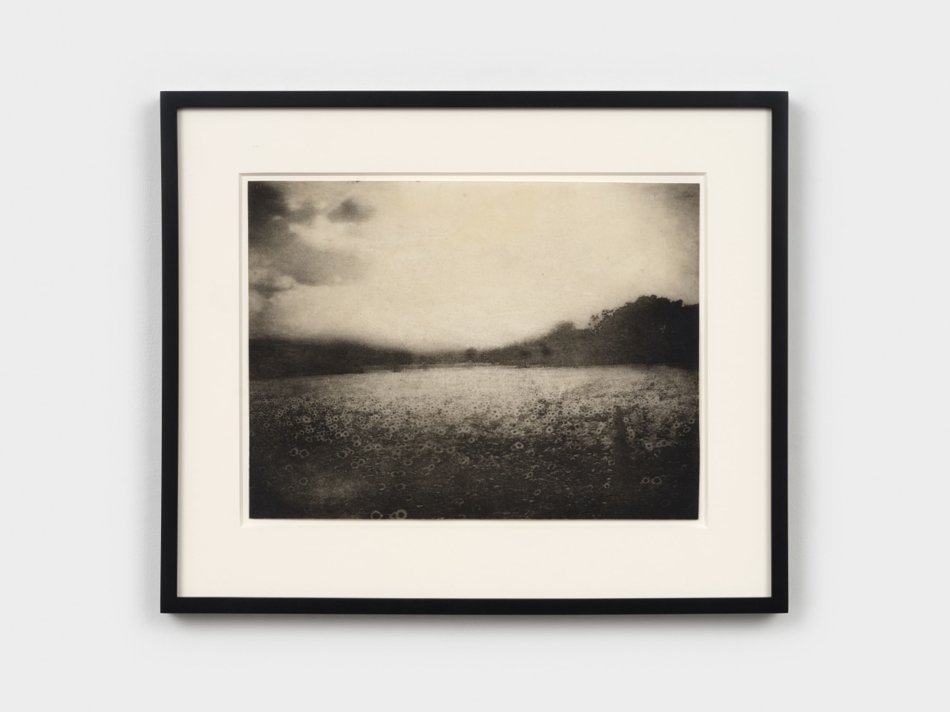 Beatrice Caracciolo Untitled, 2008 photogravure on wax paper 10 1/4 x 13 3/4 in. (26 x 35.2 cm)  frame: 16 x 19 1/8 x 1 1/4 in. (40.6 x 48.6 x 3.2 cm)