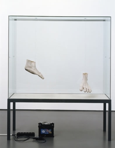 Sam Durant "Elastic Foot, Plastic Foot, Ambulance Rider-Feet Never Touched the Ground in Amerika & Felt Slippers for Baader Meinhof" 2003 Vitrine, rubber feet 70.67 x 59.06 x 19.69 in.