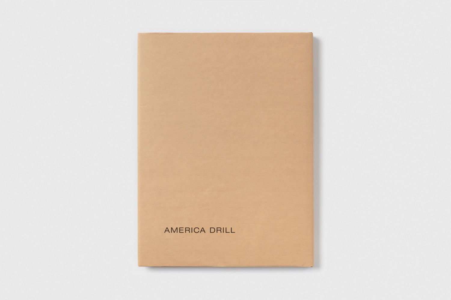 Carl Andre America Drill Back Cover