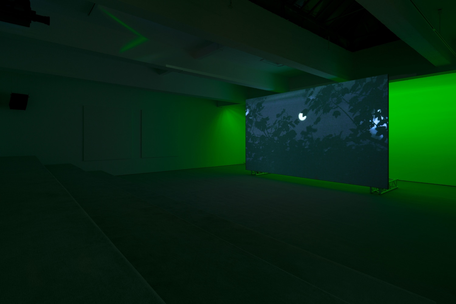 Installation view, Paul Pfeiffer: Red Green Blue, November 12 - December 22, 2022, 521 W 21st Street