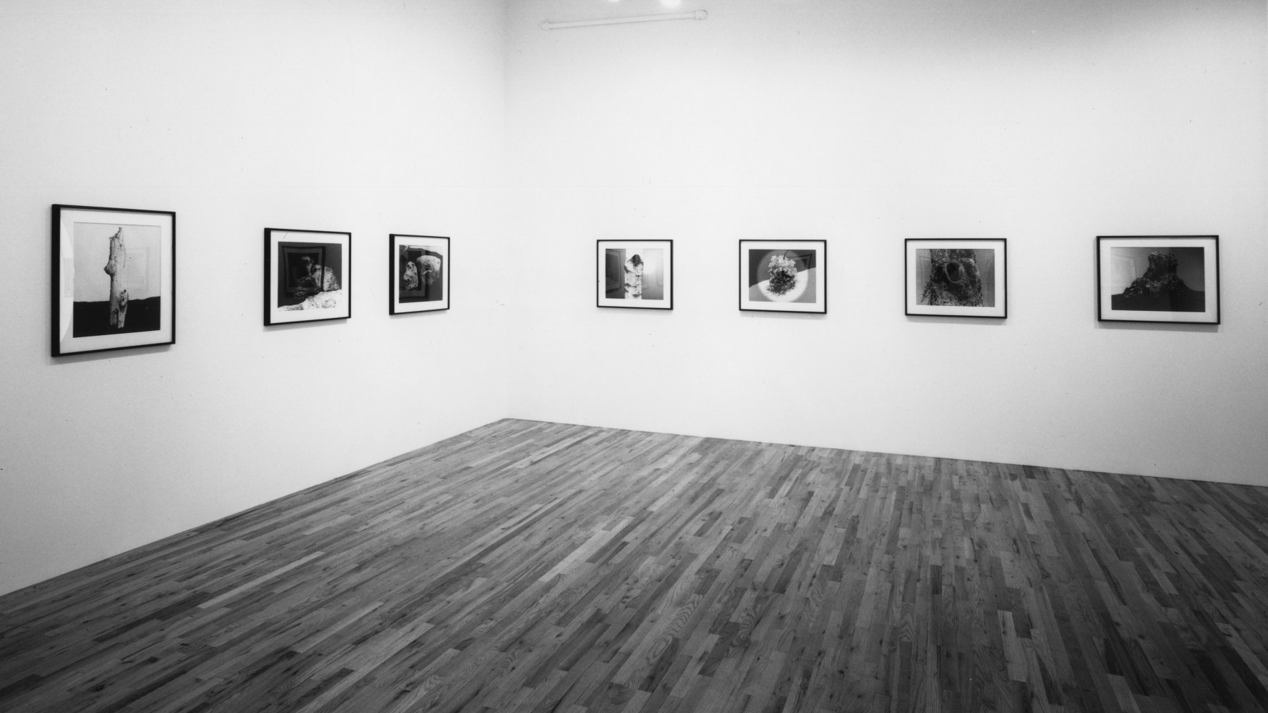 Installation view, Peter Campus, Paula Cooper Gallery, 155 Wooster Street, New York, October 3 - November 2, 1991. Photo: Geoffrey Clements.