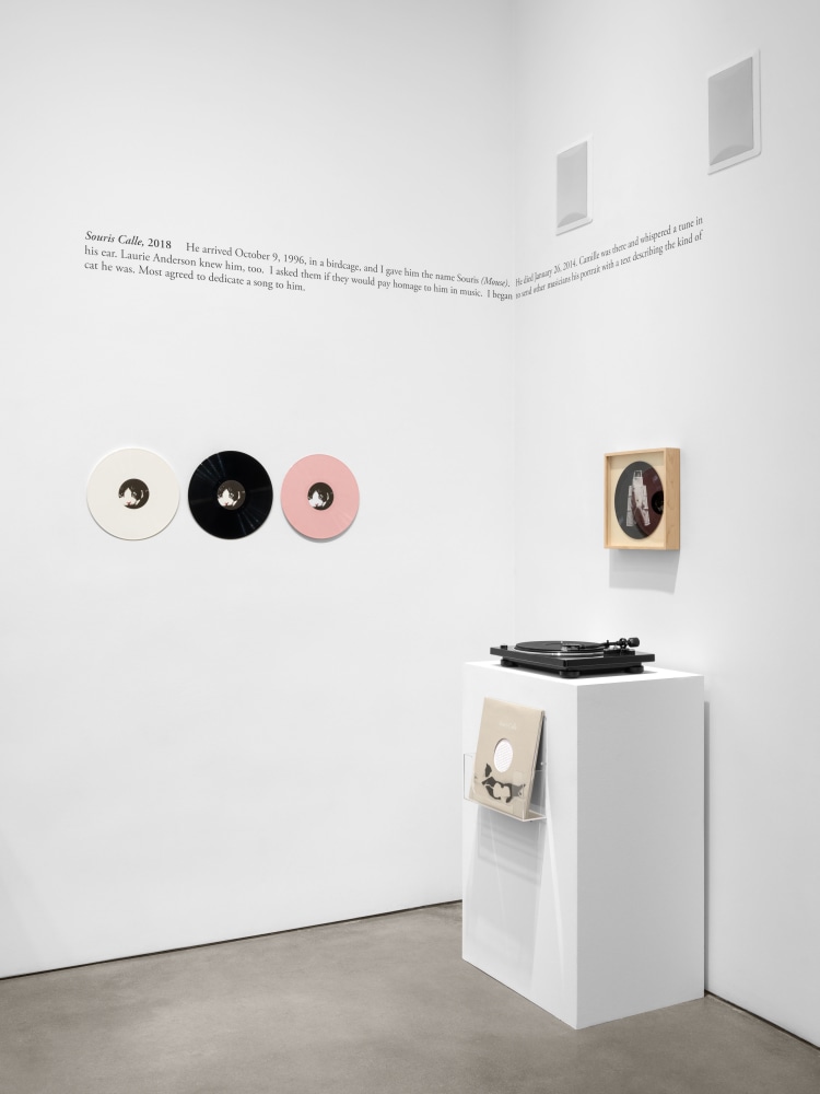 Installation view, Sophie Calle: On the Hunt, Paula Cooper Gallery, New York, September 5 – October 18, 2025. © 2025 Sophie Calle / Artists Rights Society (ARS), New York / ADAGP, Paris. Courtesy of Sophie Calle and Paula Cooper Gallery, New York. Photo: Steven Probert