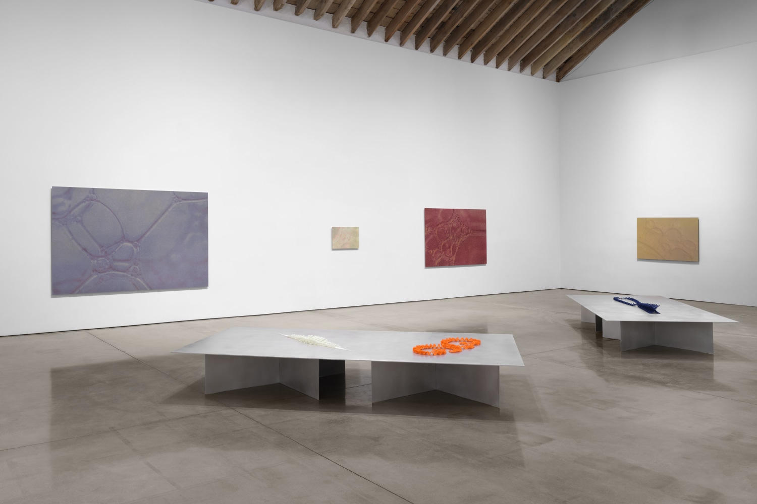Installation view, Tauba Auerbach: Free Will, Paula Cooper Gallery, New York, March 18 - April 22, 2023. Photo: Steven Probert