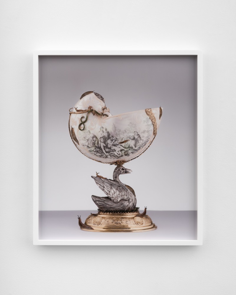 Walid Raad  Epilogue: The Gold and Silver_Slugs, 2021  pigmented inkjet print  23 3/4 x 20 1/2 in. (60.3 x 52.1 cm)  Frame: 24 1/2 x 21 1/4 x 1 3/4 in. (62.2 x 54 x 4.4 cm)