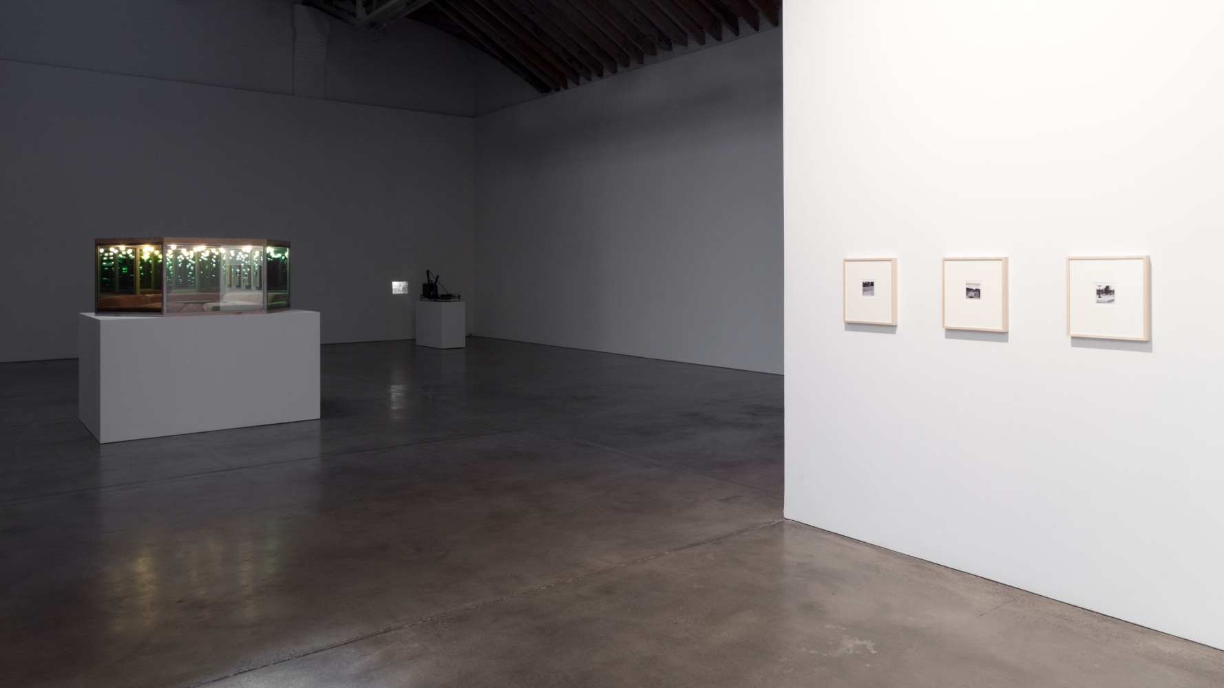 Installation view, Paul Pfeiffer, Playroom, September 8 – October 20, 2012
