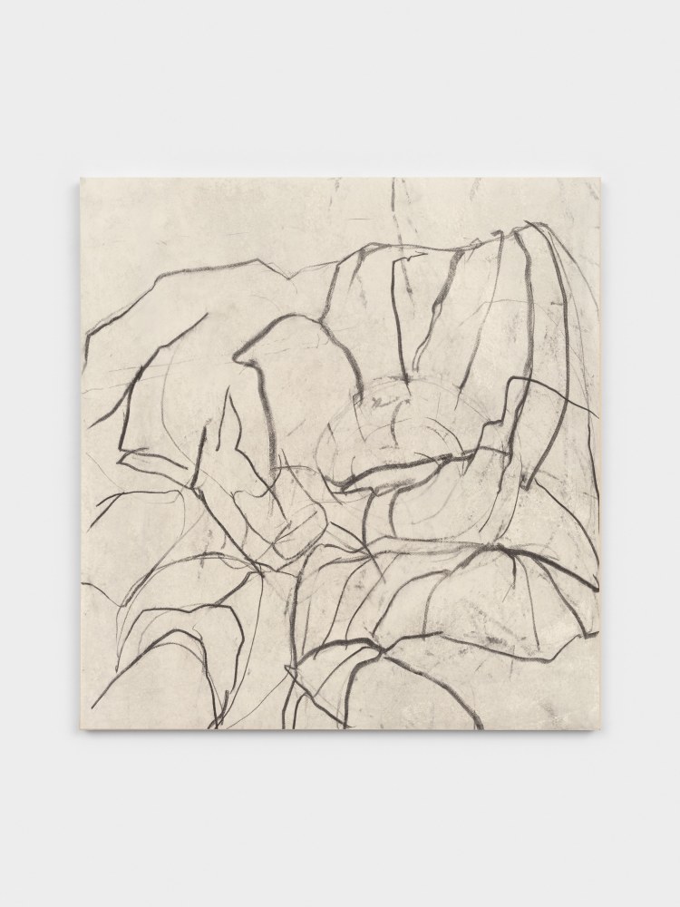 Beatrice Caracciolo The Blind (heads) 26, 2023 pigment and charcoal on Arches paper mounted on canvas 45 x 42 in. (114.3 x 106.7 cm)