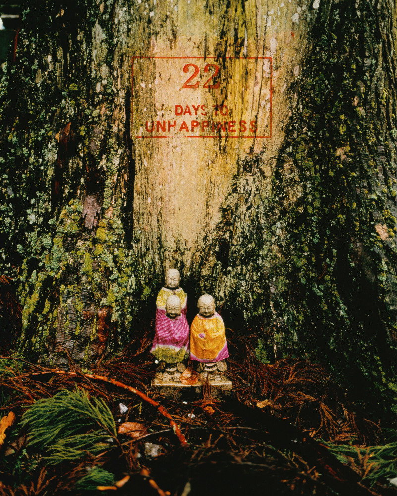 Sophie Calle Exquisite Pain (Count Down - 22), 2000 color photograph, hand stamped with red ink 32 1/4 x 25 5/8 x 1 3/16 in. (81.9 x 65.1 x 3 cm)