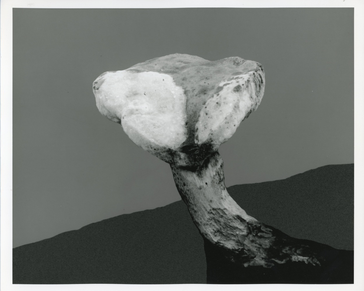 Peter Campus &quot;mushroom&quot; 1990 Digital photograph 20&quot; x 24&quot; sheet