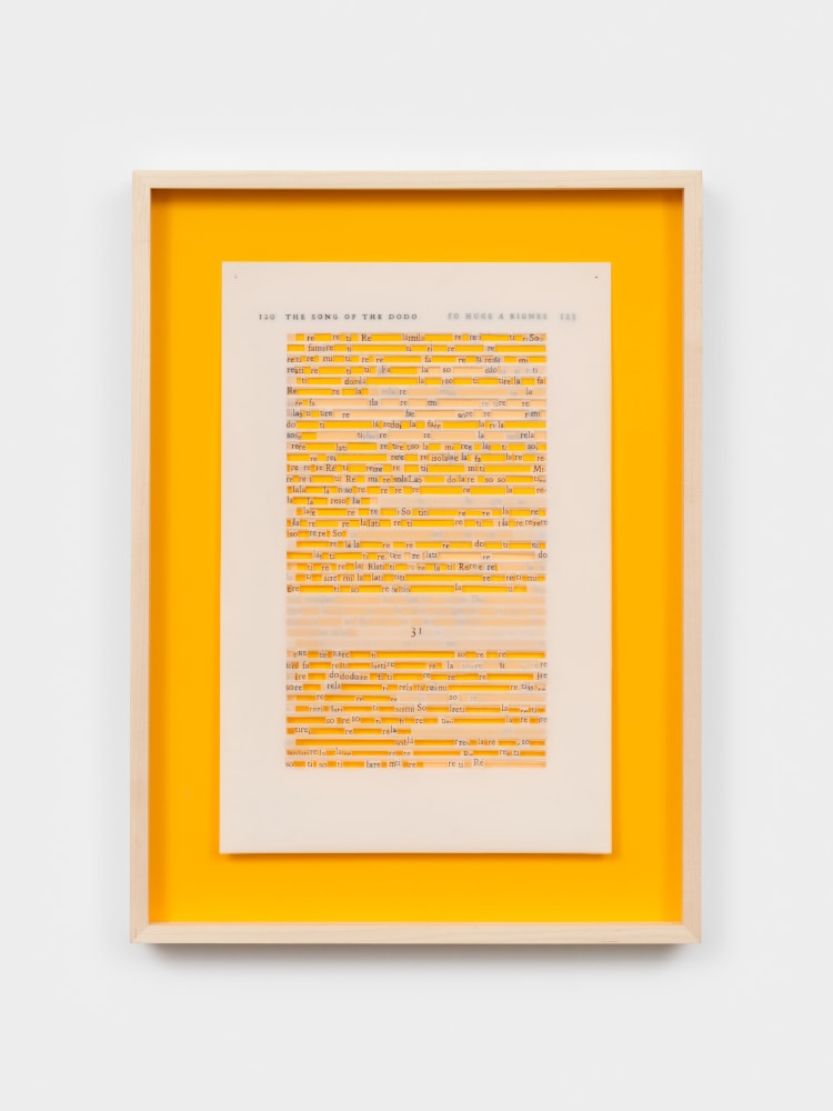 Jane Benson So Huge a Bigness (David Quammen) V, 2023 archival pen on polyester film and acrylic paint on matboard 20 5/8 x 14 in. (52.4 x 35.6 cm)