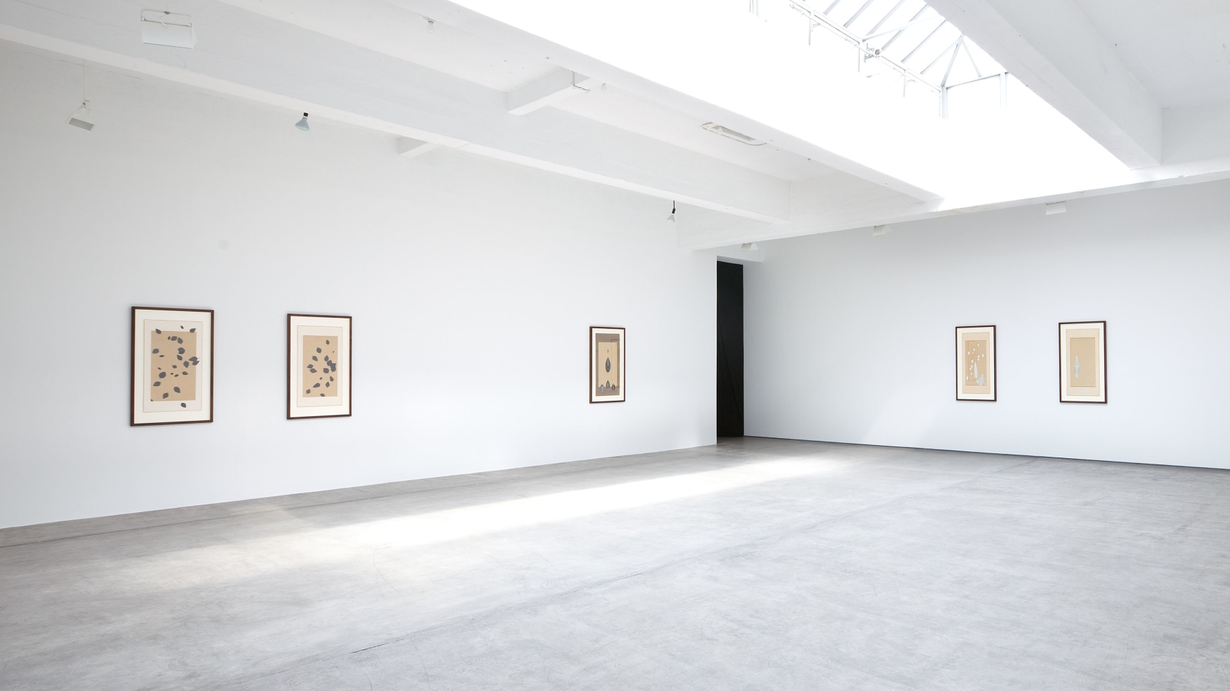 Installation view, Bruce Conner, Falling Leaves: An Anonymous Memorial, August 30 – September 24, 2011
