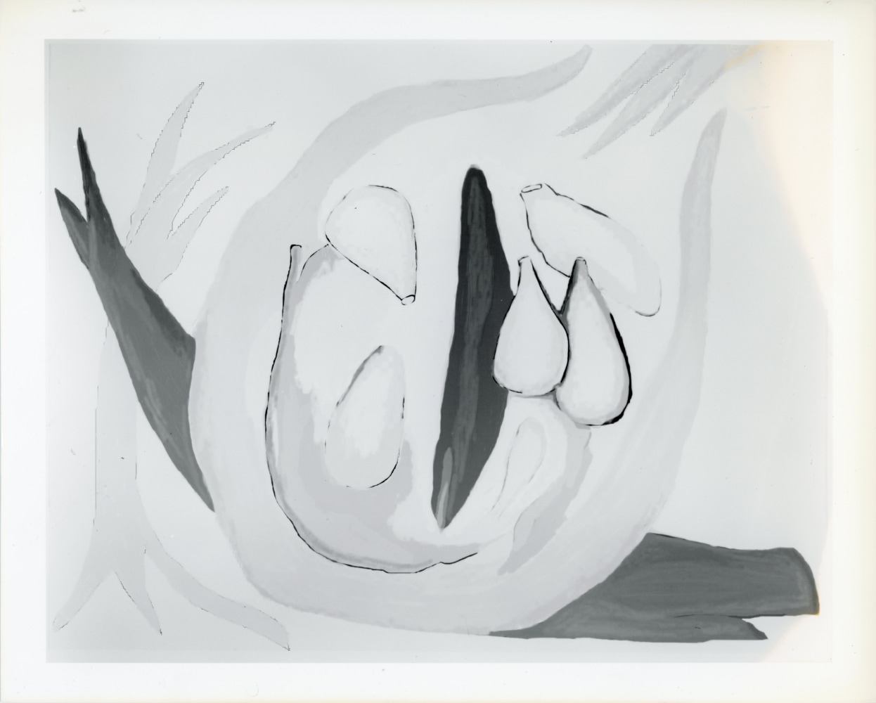 Peter Campus &quot;I wake still dreaming&quot; 1989 Computer drawing on photographic paper 20&quot; x 24&quot; edition 1/6