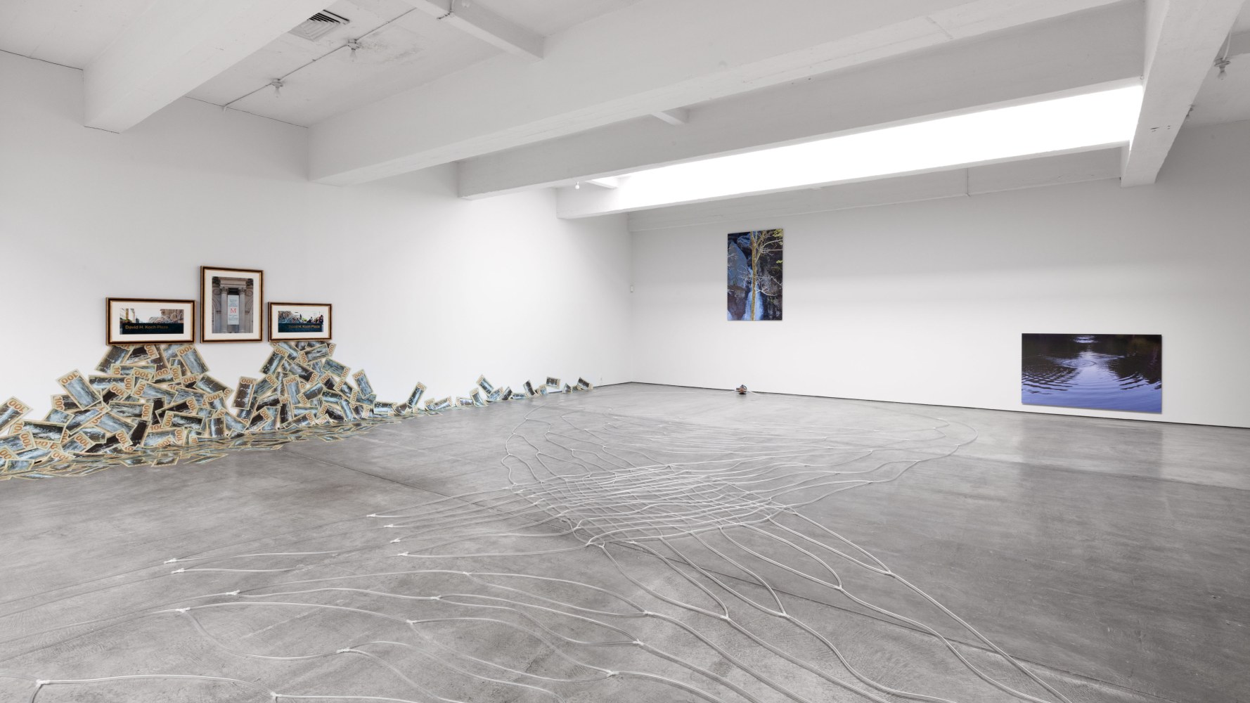 Installation view, Hans Haacke, October 25 – December 13, 2014