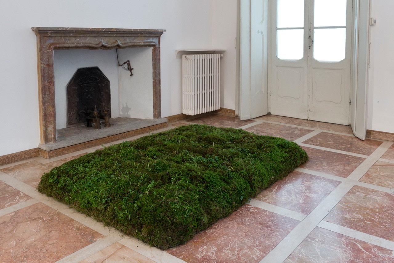 Meg Webster
Moss Bed, King, 1986/2016
peat moss, earth and plastic tarp
10 x 76 x 80 inches (25.4 x 193 x 203.2 cm.)