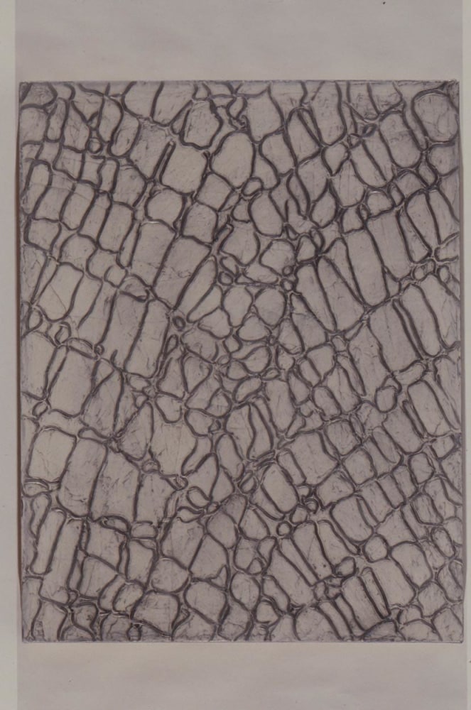 Julian Lethbridge &quot;Untitled&quot; 1990 Graphite, acrylic and liquid mask on paper 22 3/8&quot; x 17 1/2&quot;