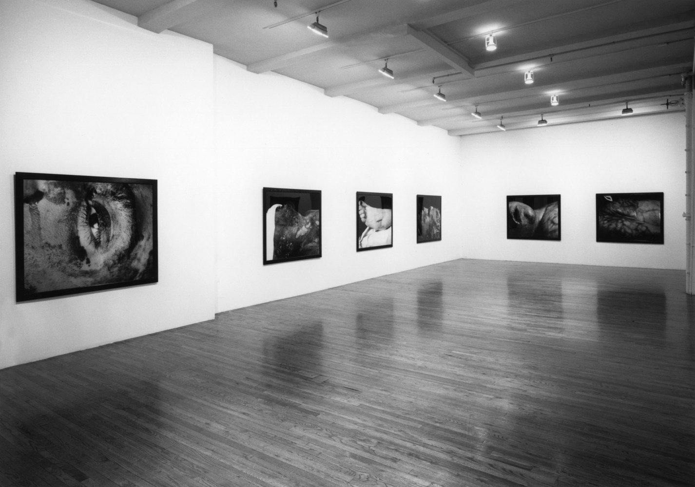 Installation view, The Morgue, Paula Cooper Gallery, 155 Wooster Street, New York, January 23 - February 20, 1993. © Andres Serrano. Courtesy Paula Cooper Gallery, New York. © Andres Serrano. Courtesy Paula Cooper Gallery, New York. Photo: Geoffrey Clements.