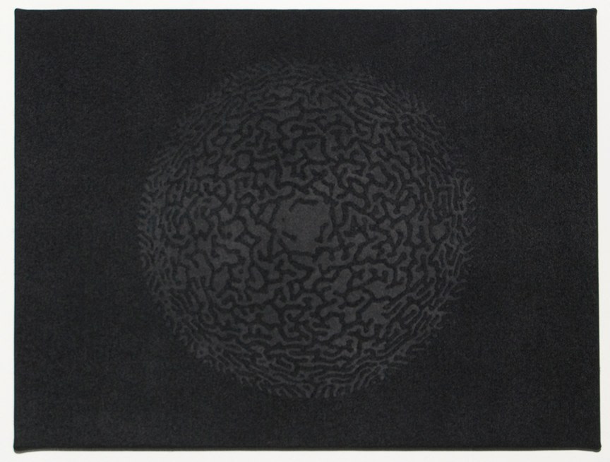 Céleste Boursier-Mougeno "solidvideo, blackmandalavirus 61" 2008 Spray paint and silkscreen on canvas 12 x 15 4/5 in.