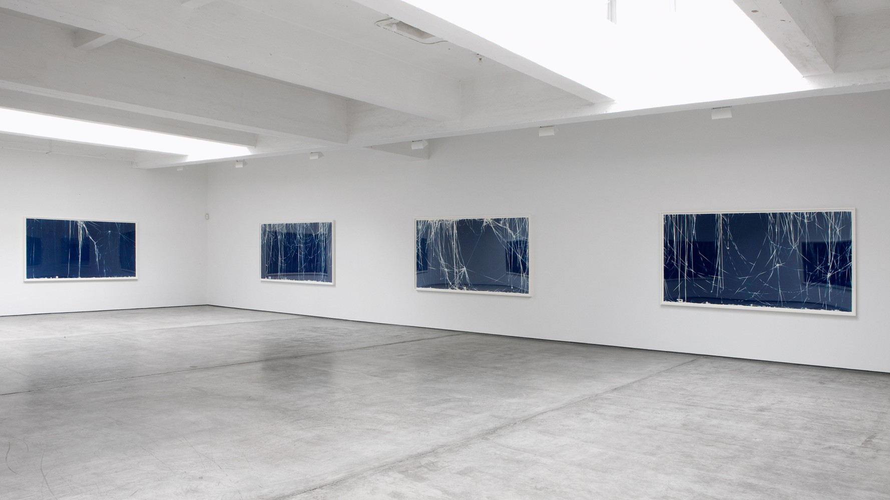 Christian Marclay - Cyanotypes - Exhibitions - Paula Cooper Gallery