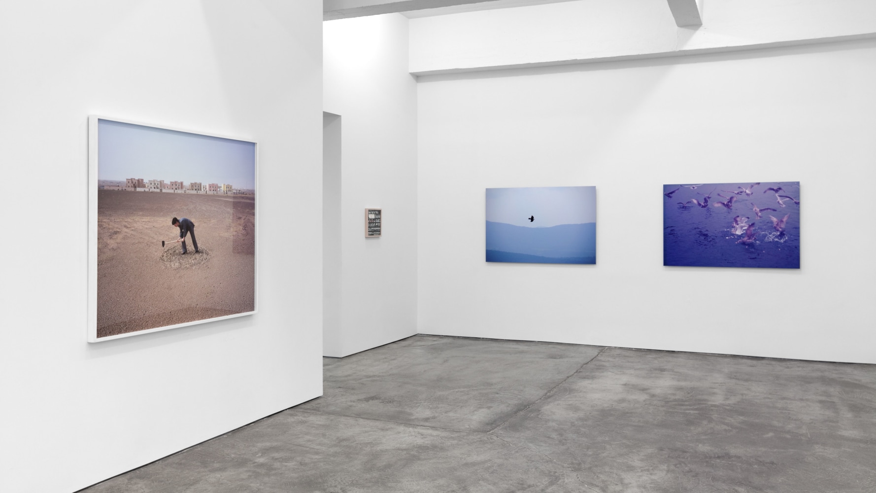 Installation view, Sophie Calle, Hans Haacke, Robert Grosvenor, Robert Gober, Christian Marclay, Carey Young, Photographs, March 26 – April 23, 2016