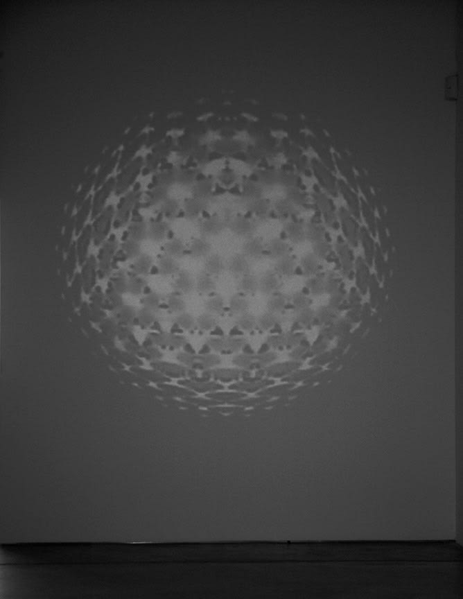 Céleste Boursier-Mougenot "virus" 2006 Video loop for 4:3 projection on white wall 22 min. Variable dimensions
