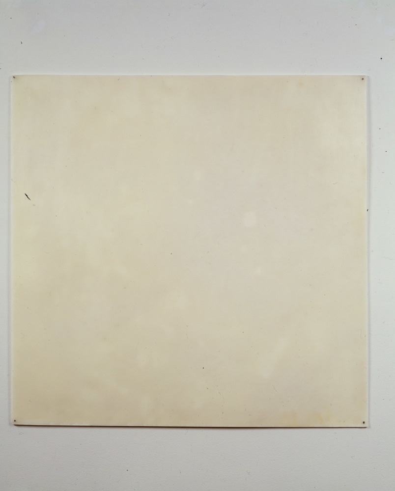 Meg Webster "Bleached Beeswax" 1997 Bleached beeswax on paper 24 1/4 x 24 1/4"