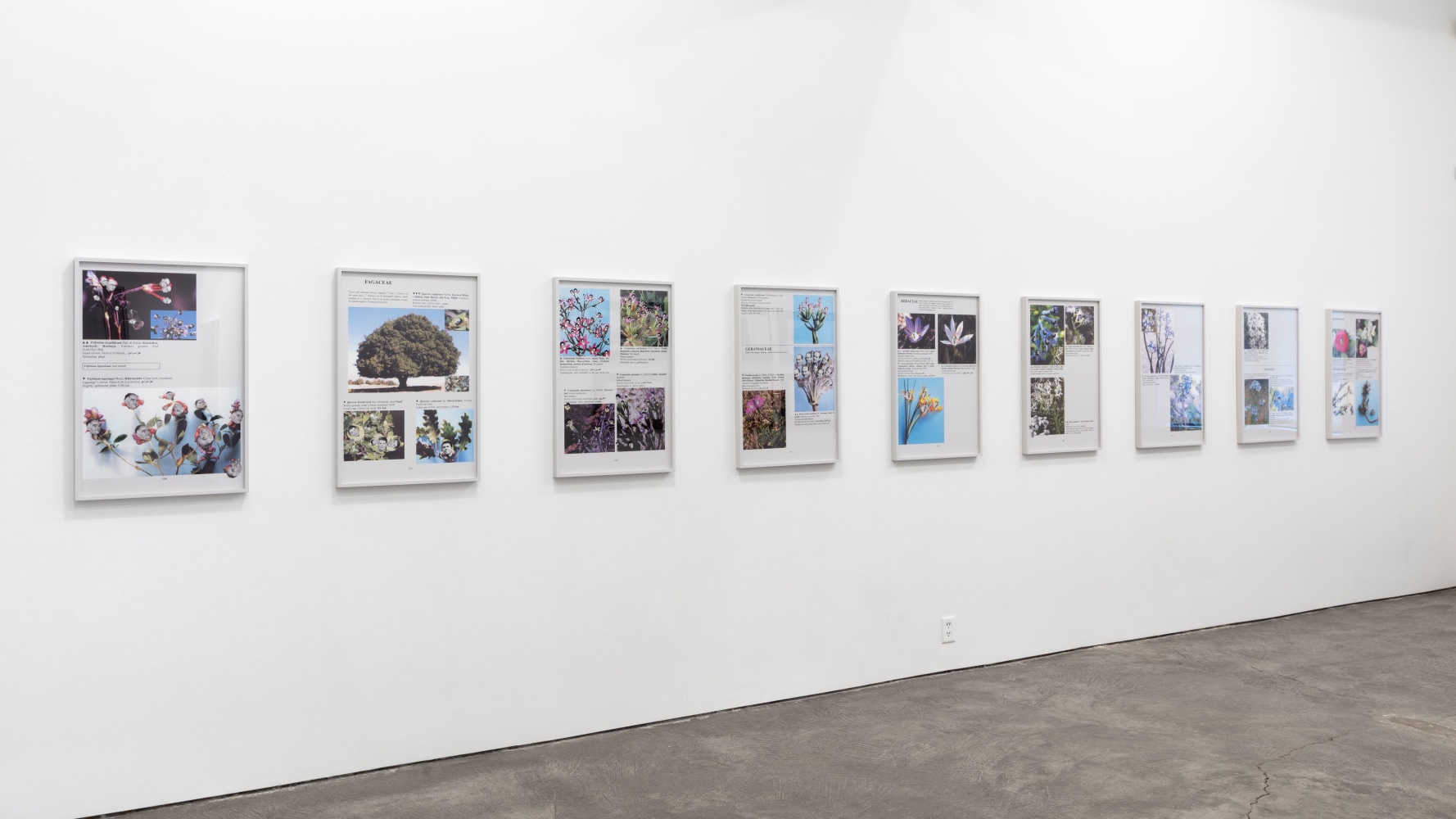 Installation view, Walid Raad, Better be watching the clouds, May 19 – July 14, 2017