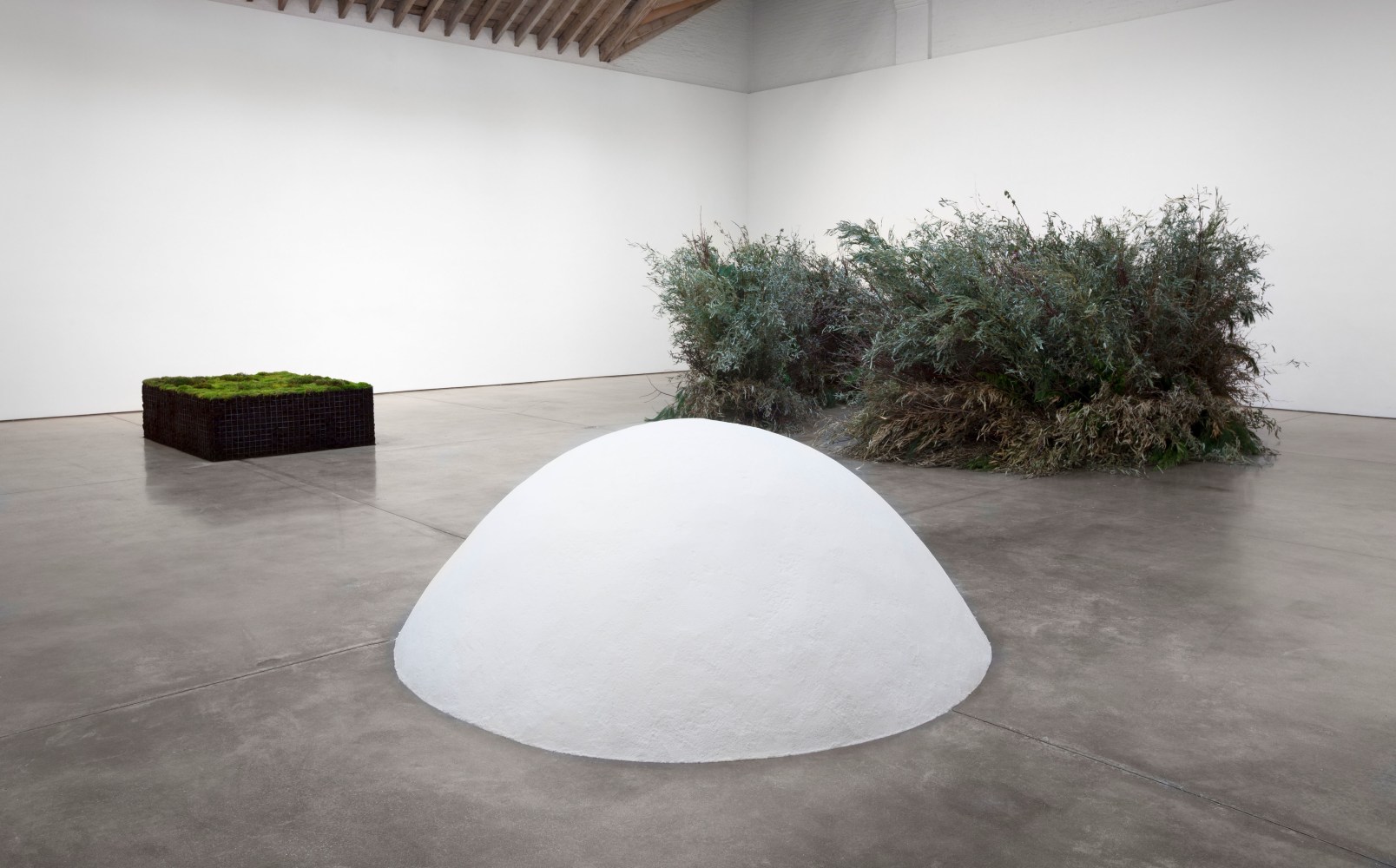Installation view, Meg Webster, May 7 – July 12, 2016