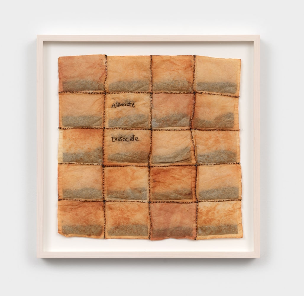 Veronica Ryan
Associate Dissociate, 2005
tea bags, thread
11 1/4 x 11 in. (28.6 x 27.9 cm)
frame: 13 7/8 x 13 7/8 x 1 1/2 in. (35.2 x 35.2 x 3.8 cm)